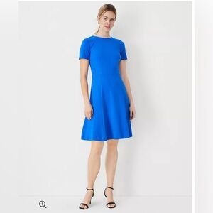 NWT Ann Taylor paneled flare dress